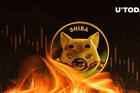 Weekly SHIB Burn Falls to Lowest Number, Here Might Be Reason - Shiba Inu Market News