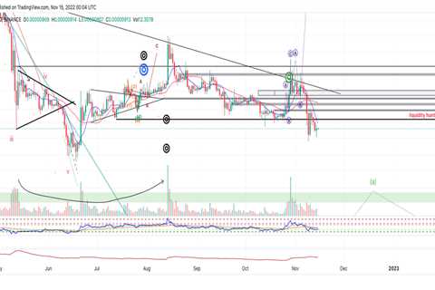 SHIB might fall to new lows this year - Shiba Inu Market News