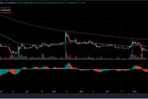 Shiba Inu Ranks No. 1 In Top 5,000 ETH Whales' Crypto Holdings - Shiba Inu Market News