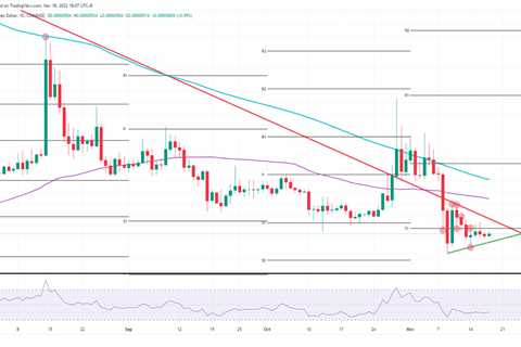 Shiba Inu price sees bulls positioning for upside squeeze - Shiba Inu Market News