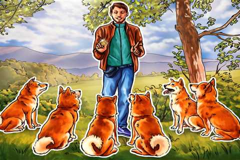 Shiba Inu developer says WEF wants to work with project to 'help shape' metaverse global policy -..