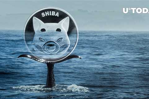 SHIB Reacts to Whales' Buying, Will Price Burn Extra Zero? - Shiba Inu Market News