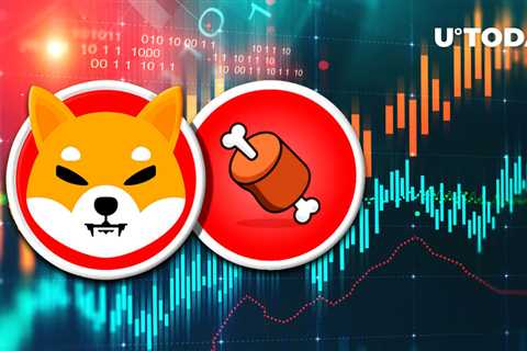 Shiba's BONE Soars 12% as This New York Exchange Lists It - Shiba Inu Market News