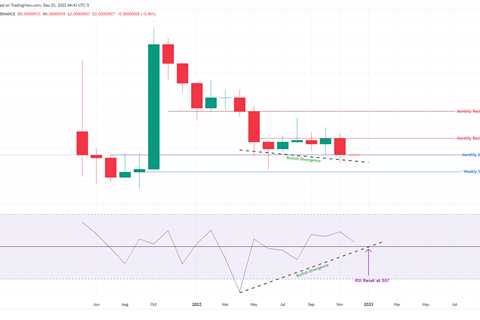 Can the new dog compete with Dogecoin's 160% rally? - Shiba Inu Market News