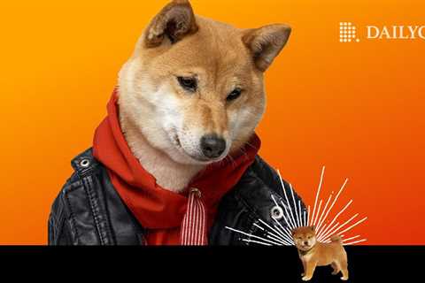 Shiba Inu (SHIB) Contested by Baby Doge Coin (BABYDOGE) - Here’s How - Shiba Inu Market News