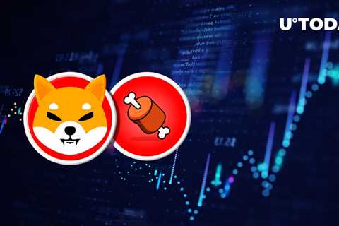 Shiba Inu's BONE up 10% as Price Gains Ground Against BTC and ETH, Here's Why - Shiba Inu Market..