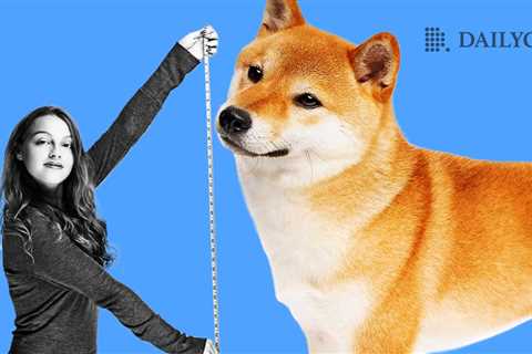 Shiba Inu (SHIB) Metrics Reveal SHIB Is Seen as Long-Term Investment - Shiba Inu Market News