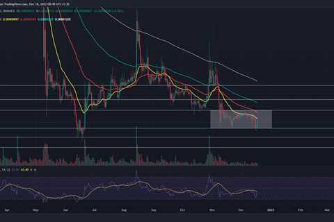 Here's Why Shiba Inu Coin Sees A 10% Jump in Near Future - Shiba Inu Market News