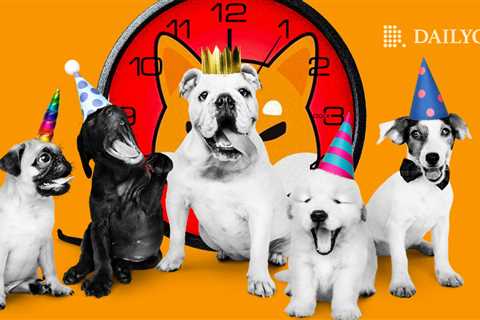 Shiba Inu (SHIB) Launches Special Countdown in Hopes of Shibarium - Shiba Inu Market News