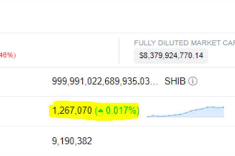 Shiba Inu countdown hype dies, layer-2 scaling solution Shibarium launch nowhere on the horizon -..