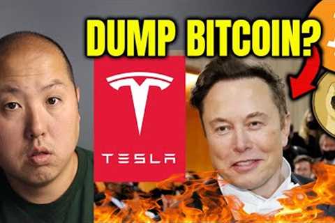 Tesla Stock Sinks to a New Low...Will Elon Dump Bitcoin Next?