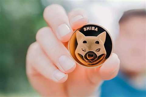 Here's Why Shiba Inu Coin’s Next Recovery Cycle May Hit $0.00001 - Shiba Inu Market News