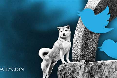 Dogecoin (DOGE) & Shiba Inu (SHIB) Trending On Twitter, But Only One Gains - Shiba Inu Market News