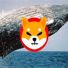 Ethereum Whales Scoop SHIB Tokens Ahead Of Shibarium Launch - Shiba Inu Market News