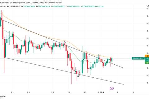 Shiba Inu, Ape Coin & European Wrap 2 Jan - Shiba Inu Market News