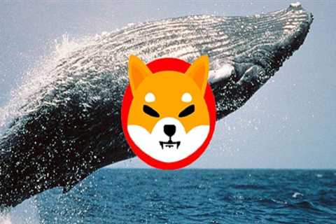 Ethereum Whales Scoop SHIB Tokens Ahead Of Shibarium Launch - Shiba Inu Market News