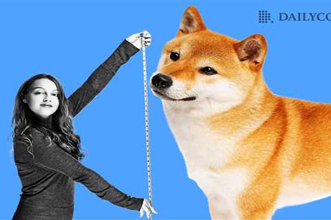 Snowfall Protocol (SNW) vs Dogecoin (DOGE) vs Shiba Inu (SHIB): The Best Crypto 2023 - Shiba Inu..