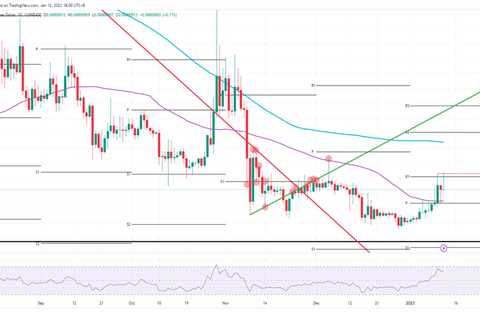 Chinese PPI spurs hope for lower US CPI as Shiba Inu price to break above $0.00001000 - Shiba Inu..