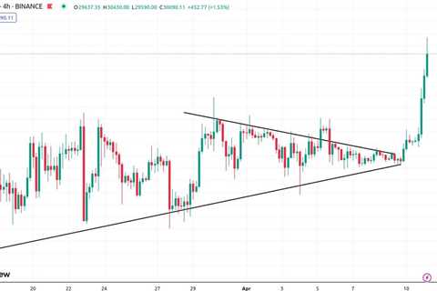 $BTC huge breakout to $30,000   #Polygon #polygonNFTs #DOGE #Dogecoin #dogearmy…