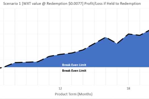 Why is WXK a Great Investment?