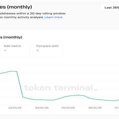 Berachain Ecosystem Under the Microscope After Mainnet