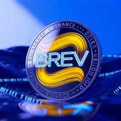 Brevis (BREV) to Binance HODLer Airdrops